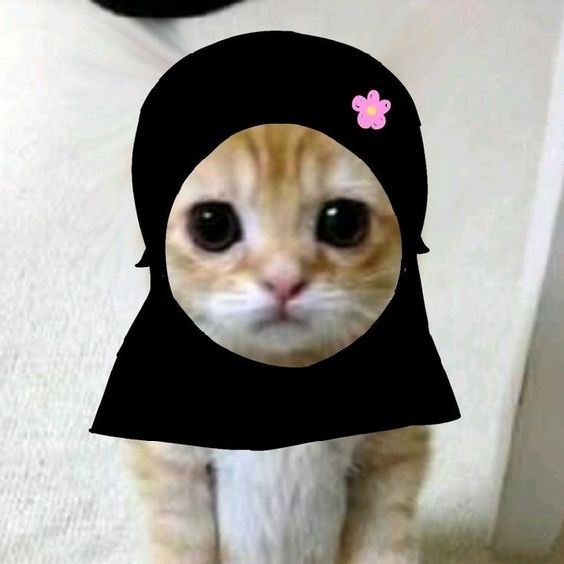 Foto Profil mayessa nalla